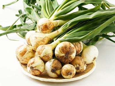 のらファーム・農薬不使用 土佐にんにく | 安心堂 食のSELECTネット