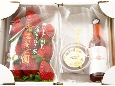 富田農園・黒いちじく（ビオレソリエス）【秀品】 | 安心堂 食のSELECT