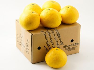 萩森農園・完熟せとか5kg(20～30個)【家庭用】 | 安心堂 食のSELECT