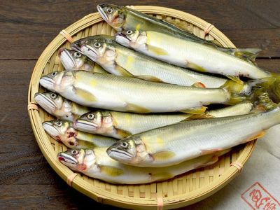 吉成屋・五島列島産 天然活モクズガニ（2kg・7匹～18匹）【熨斗・カード不可】 | 安心堂 食のSELECTネットショップ