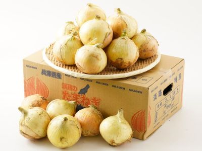 玉ねぎ | 安心堂 食のSELECTネットショップ