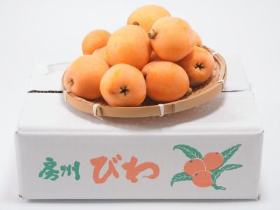 楽天市場】津 之 輝 つの かがやきの通販