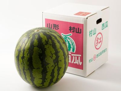 江本農園・夏のアンテナスイカ（赤 2玉セット） | 安心堂 食の
