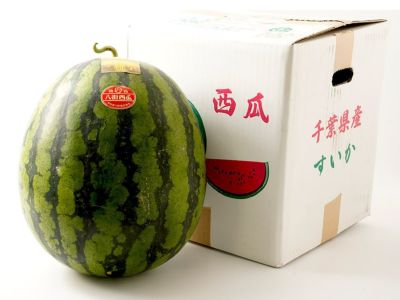 山本農園・八街すいか【金色羅皇】（約8kg） | 安心堂 食のSELECTネットショップ