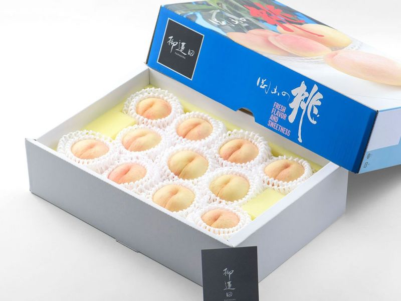 000000020447-01-l.jpg?t=