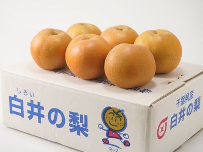梨　新高梨　30玉　　02 imgrc0083171362.jpg