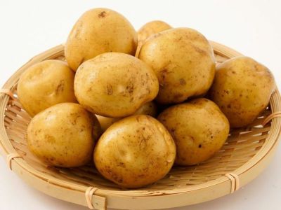 エグチベジフル・長島町の赤土じゃがいも（10kg） | 安心堂 食の