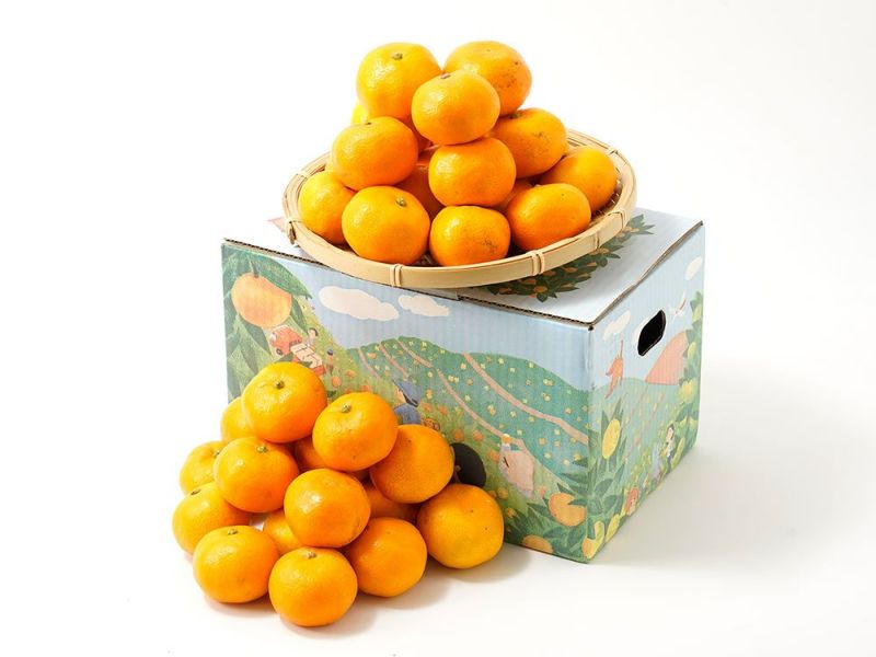 000000020648-01-l.jpg?t=