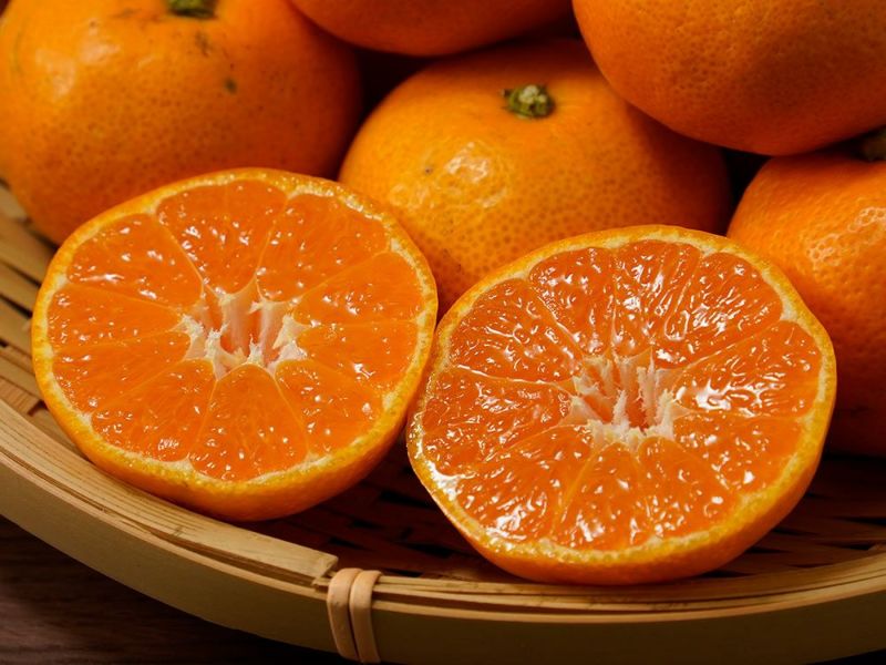 みかんのみっちゃん農園・有田みかん極早生（日南） 3kg | 安心堂 食の