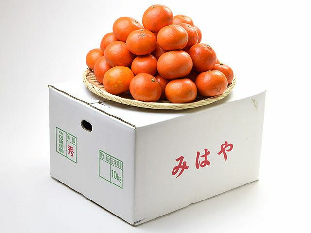 中田果樹園・みはや【贈答用】10kg（70～80玉） | 安心堂 食のSELECT