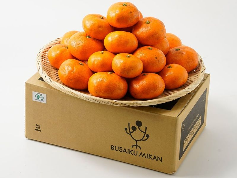 ミカン 有機JAS認証】ぶさいくミカン BUSAIKU MIKAN 肥のみらい 7kg