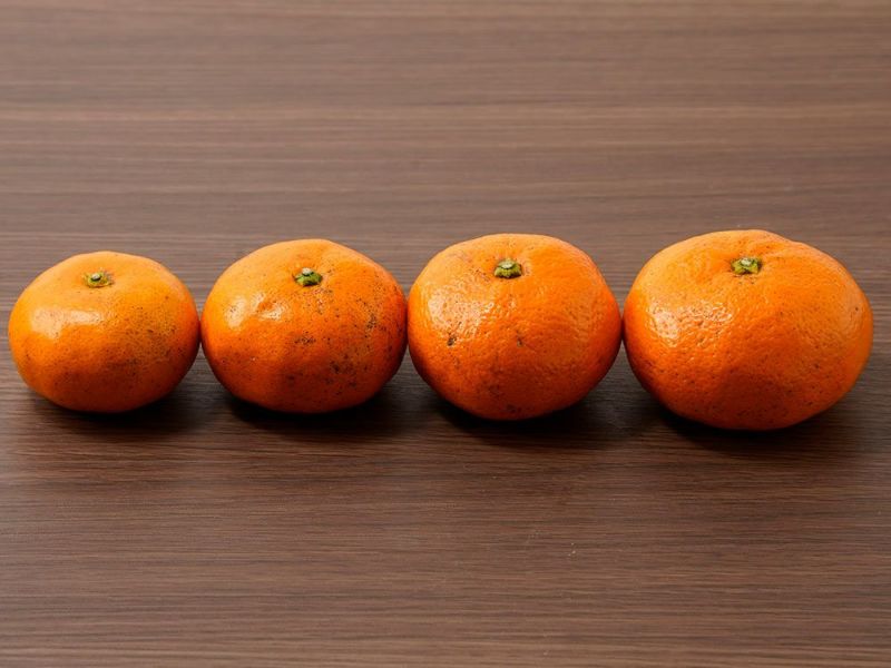 右田柑橘・【有機JAS認証】温州みかん 青島（S～L混合）7kg | 安心堂