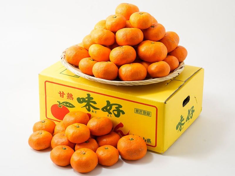 橋詰農園・蔵出し味好みかん（5kg） | 安心堂 食のSELECTネットショップ