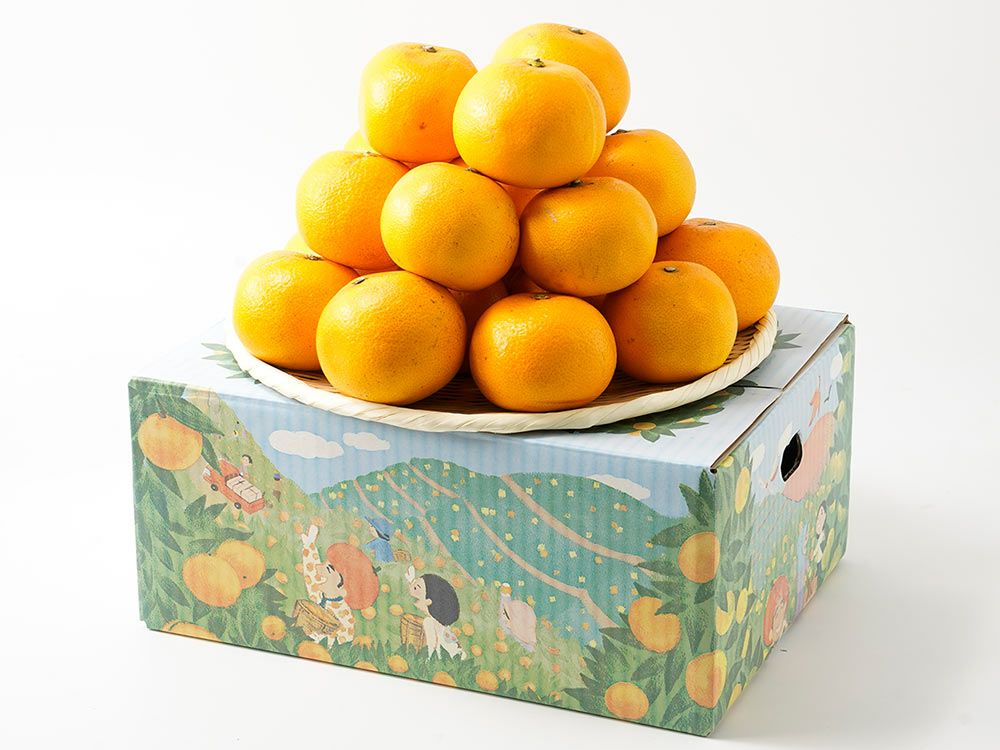 みかんのみっちゃん農園・はっさく（5kg）12～18玉入り | 安心堂 食の