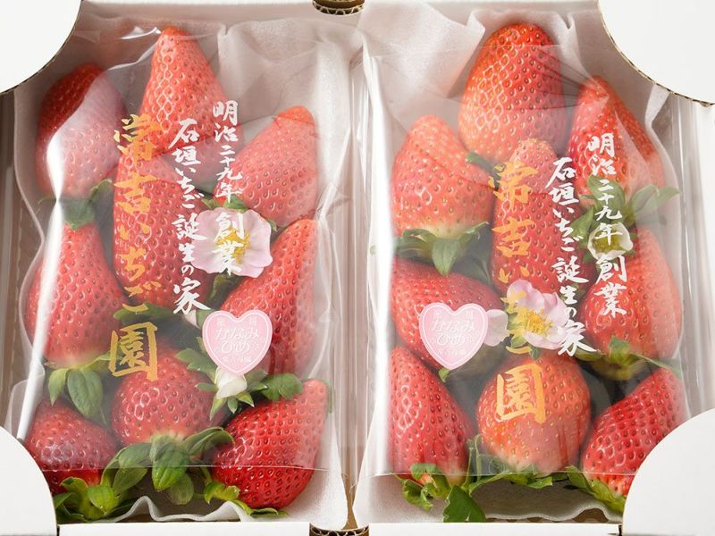 常吉いちご園・久能石垣いちご【品種：かなみひめ】（約330g×2パック