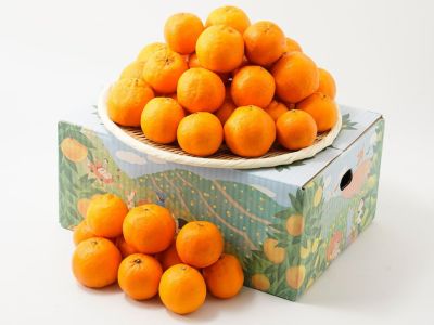 富田農園・生ベルガモット果実（1kg） | 安心堂 食のSELECTネットショップ