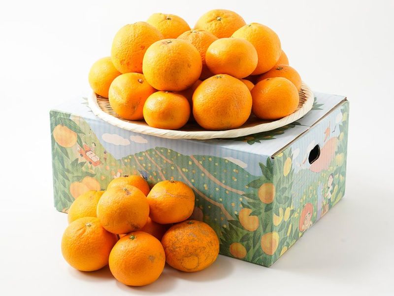 みかんのみっちゃん農園・清見オレンジ（5kg）20～30玉入り | 安心堂