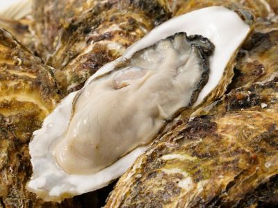 三河湾産大あさり【特大サイズ】3~5個/kg | 安心堂 食のSELECT 三河湾産大あさり【特大サイズ】3~5個/kg | 安心堂 食のSELECT