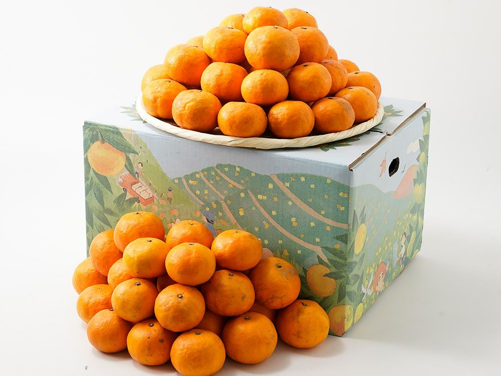 みかんのみっちゃん農園・カラマンダリン（10kg）60～70玉 | 安心堂 食