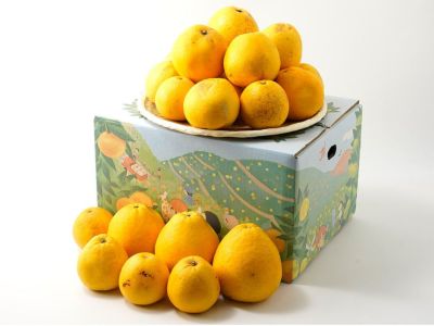河内晩柑 | 安心堂 食のSELECTネットショップ