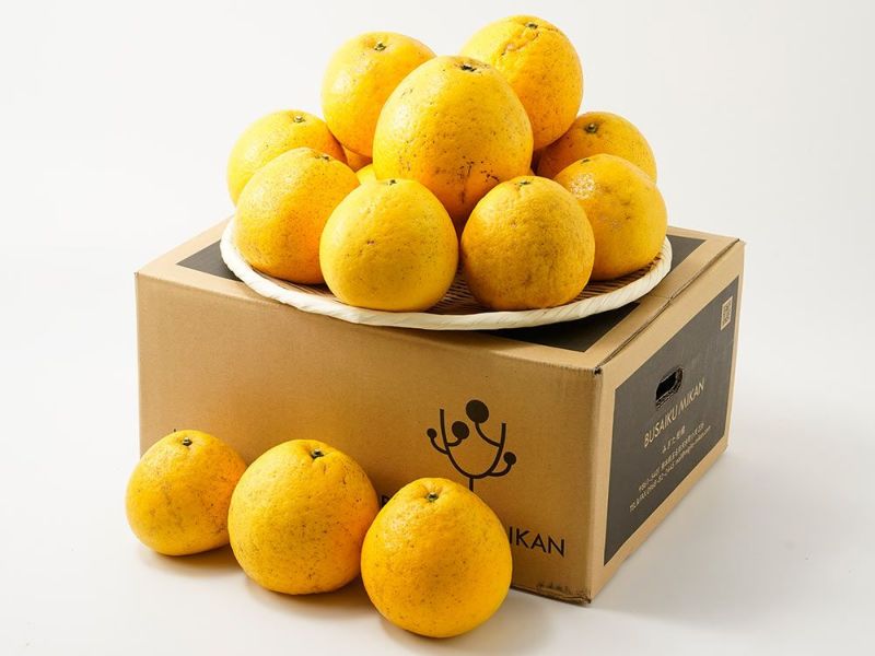 右田柑橘・【有機JAS認証】河内晩柑（約6kg）18玉前後 | 安心堂 食の