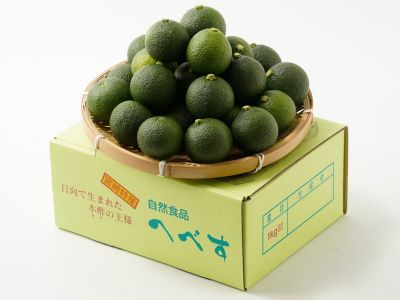 木成り河内晩柑約3kg家庭用 | のま果樹園