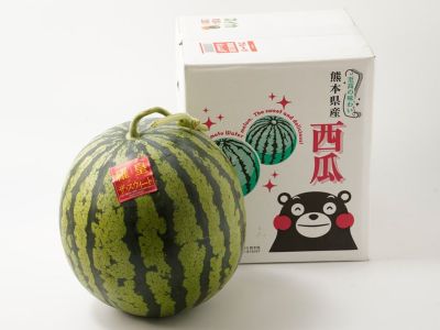 鍋嶋農園・大玉すいか羅皇ザ・スウィート | 安心堂 食のSELECT