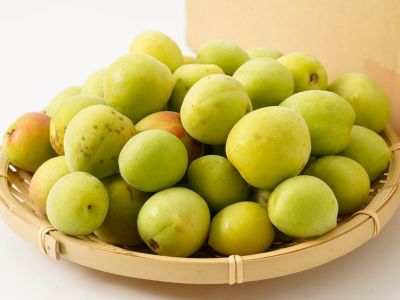 はるな山麓農cafe・自然栽培青梅10kg【白加賀】 | 安心堂 食の
