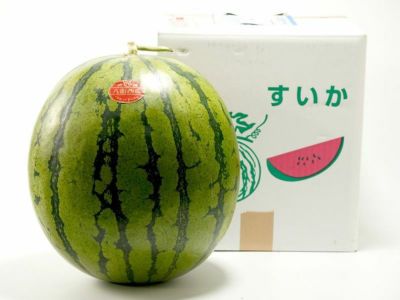 000000021003-01-m.jpg?t=