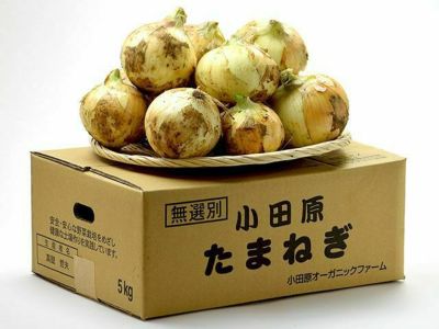 あすなろファーム・小田原曽我の無農薬 黄熟梅【十郎】 | 安心堂 食のSELECTネットショップ