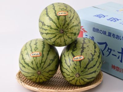 笹原農園・尾花沢甘さ一番すいか 6L（約11kg） | 安心堂 食の
