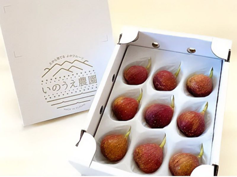 無花果（いちじく）多品種　コンパクトBOX　農薬不使用です 無花果（いちじく）多品種 コンパクトBOX 農薬不使用です 食品 無花果