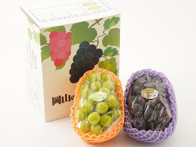 安藤農園・オーロラブラックとシャインマスカット 2房入り | 安心堂 食
