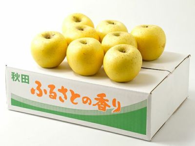 野田りんご園・我が家のこだわりりんごジュース（180g×20パック