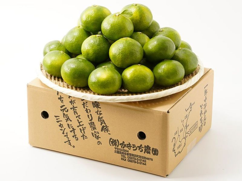 かきうち農園・極早生熊野みかん（3kg） | 安心堂 食のSELECT