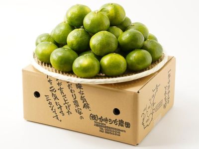 三方丹波栗生産出荷組合・丹波栗（生栗）2Lサイズ・1kg | 安心堂 食のSELECTネットショップ