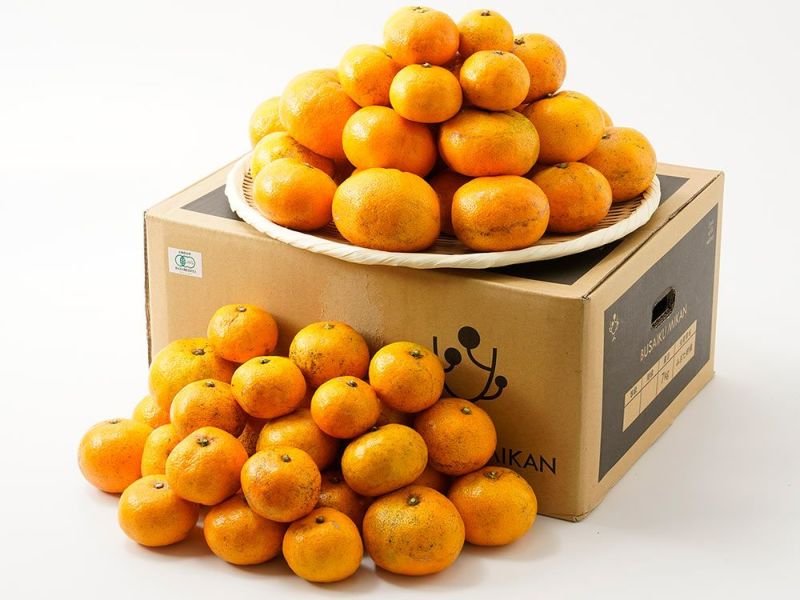 右田柑橘・【有機JAS認証】温州みかん 極早生（S～L混合）7kg | 安心堂