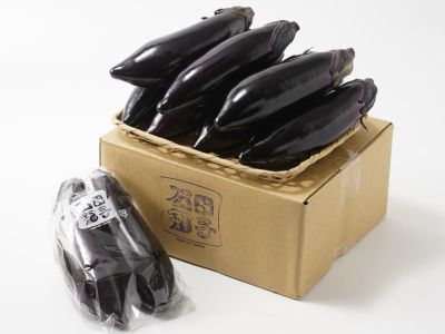 はないちご農園・まりひめプレミアム 毬姫様【大玉】12粒入り