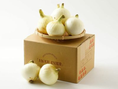 真壁ファーム・小田原下中たまねぎ（10kg）【新玉ねぎ】 | 安心