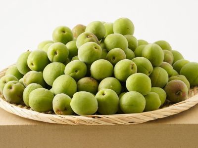 特選:天なり青梅】有機栽培 白加賀10kg(梅酒用) | 熊代農園
