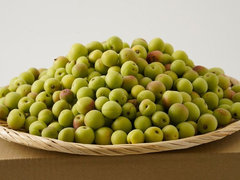 かえるファーム・榛名梅林の自然栽培梅【甲州小梅】 | 安心堂 食の