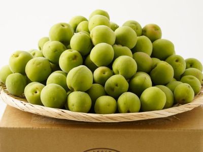 まじりっけなし！自然栽培の青梅『白加賀』10kg 梅シロップ
