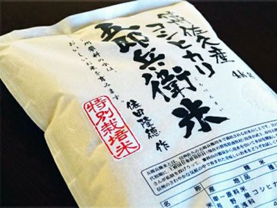 岐阜県産龍の瞳10kg(５kg×２袋) 楽天市場】龍の瞳 10kgの通販