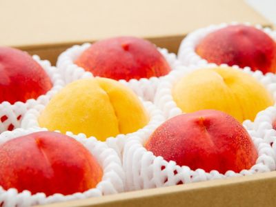 ちょーこ幻の桃一箱と野菜セット 01280941_61f33bd1e2516.jpg