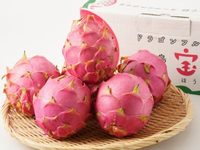 ✨安心安全！農薬不使用！自然栽培✨　丹波産　果物詰め合わせ　甘柿　みかん 甘夏 栽培期間中農薬・化学肥料・除草剤不使用 なかい果樹園