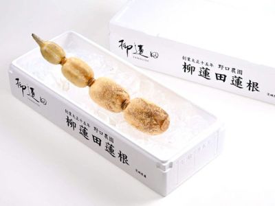 【即購入可】柳蓮二 まとめ 野口農園・柳蓮田蓮根【夏】（2kg） | 安心堂 食のSELECTネットショップ