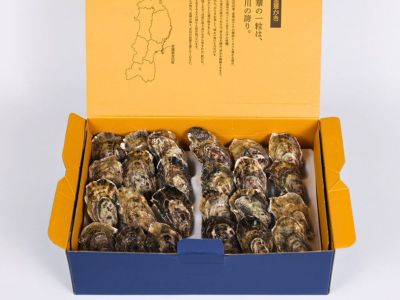 ひおうぎ貝.102.6ミリ ひおうぎ貝50個入り | 兼匠 牡蠣・桧扇貝通販（お取り寄せ）・三重県南