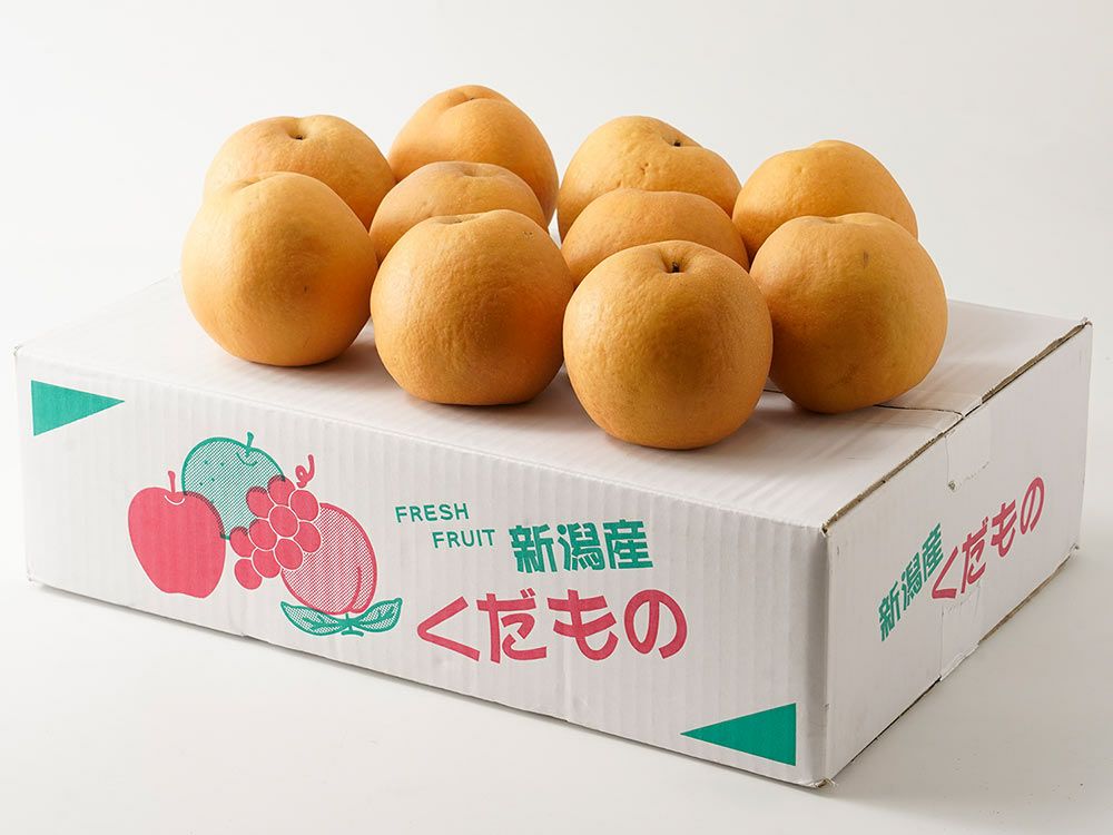 大矢野有機農産物供給センター・天草産パール柑【中玉】（9kg）20玉