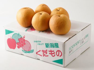 そうま農園・高徳りんご 2.2kg（8～11個） | 安心堂 食のSELECTネット