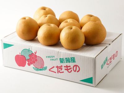 清五郎農園・ブラッドオレンジ・モロ【家庭用】10kg（S～Lミックス